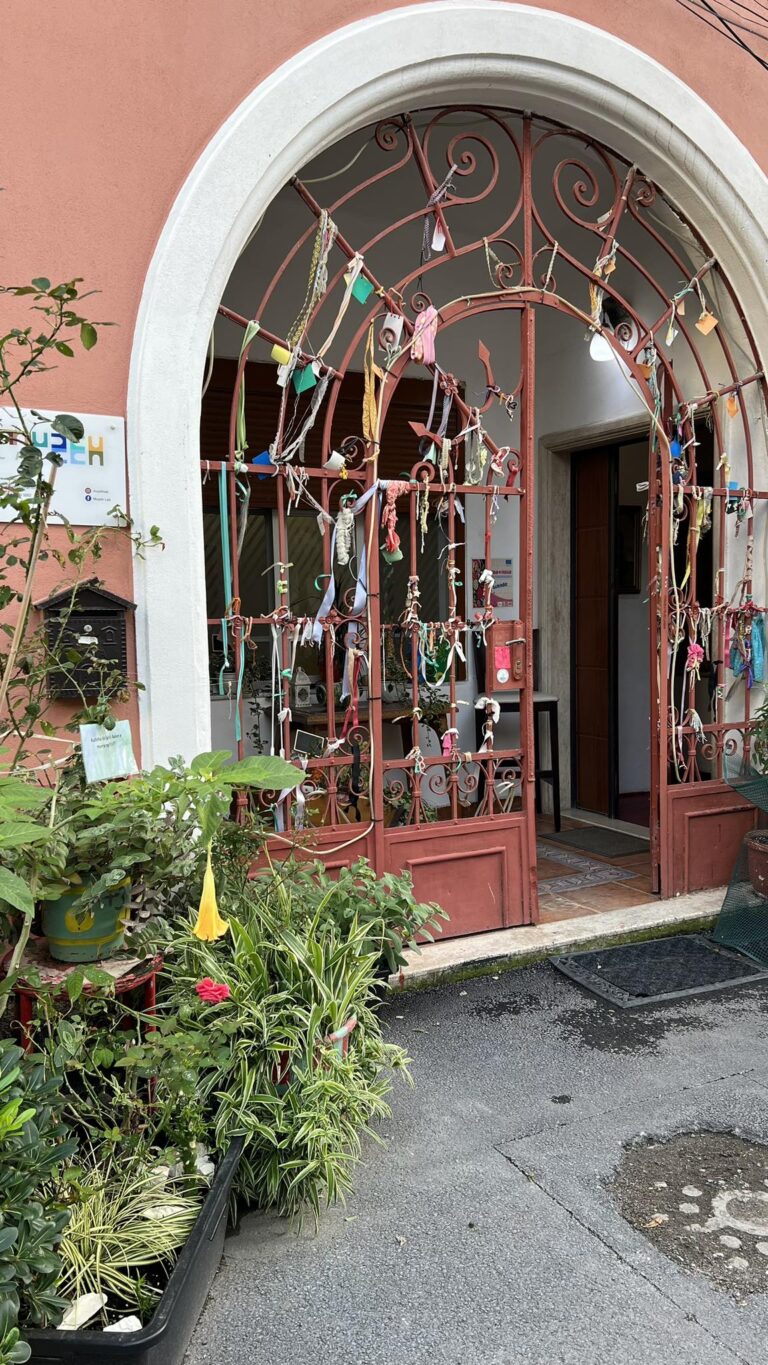 368595395_726299892878184_5245955014219416687_n